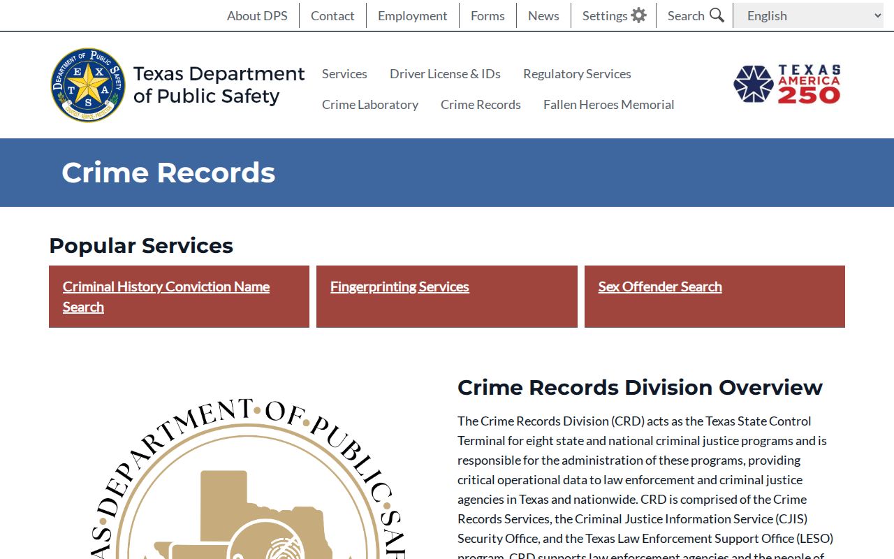 Texas DPS criminal history options for Terry County